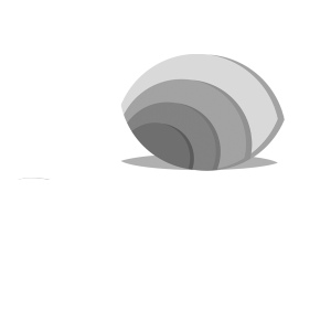 Fiorex fehér