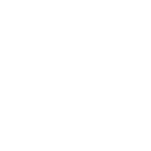 Mondox